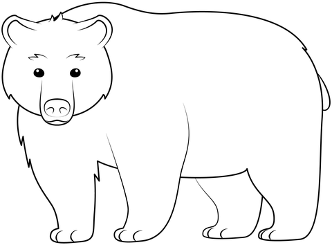 Bear From Brown Bears Coloring Page